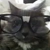 vic_xd_bv