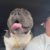 kingmuggz_lob209