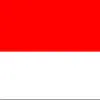 satuuntuksemua49