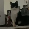 _bella.606