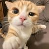 abbusyy24