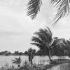 laimanhakimi