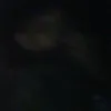 tobee_294