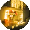 mariebiscuit01