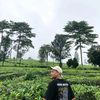 masngapakcilacap