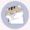dongbanhang11