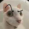 nokipip