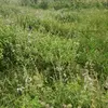 tt_aa.511