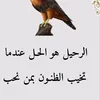 masara1031
