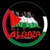 nour_4_4