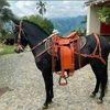 freddy.quintero15