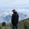 arion_464
