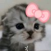 .chcxlstw_bb