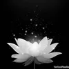 linh.boom08