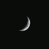 maiden_1215
