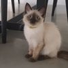 nathan_v_v_
