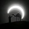 _rasul013_
