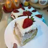 rana_14741