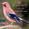 7mohamed_6