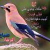 7mohamed_65