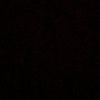 stecustecuu._