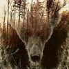 phatom_0331