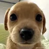fuk_u_284