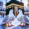 user5244346158166