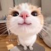 0.0_nini_v