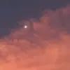 urpinksky