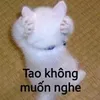 catieu52