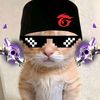 asytarrrrr
