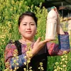 Vang Mùa