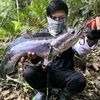 m.fadielanwar94