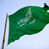 saudi_arabia_falcon