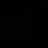 zaza02588