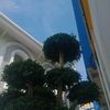 firnandafirnanda98