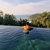 sonofzeus1