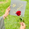 chaima_zen4