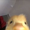 nadinekaligis145