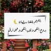adel_mohmed22