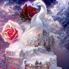 pigeonloveer4435