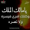 user37531910582460