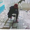 lionelfraser333