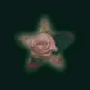 st4rf.l0wer
