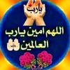 sir___usermer