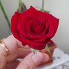 user96h0nqjc7