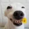 mcheisnburger