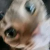 lovecinamon339
