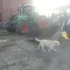 kamilgrb0